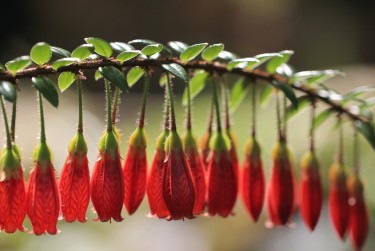 广州荔湾区2私人快速借钱网，轻松解决资金难题