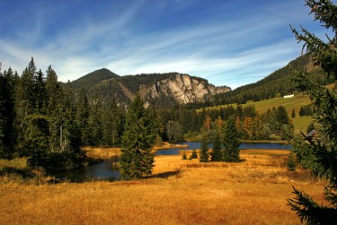 广州荔湾区2民间私贷攻略：揭秘低成本借贷的秘密