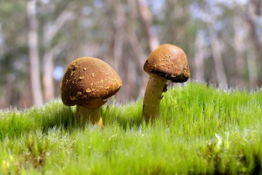 广州荔湾区2私人老板放款：轻松融资的秘密通道